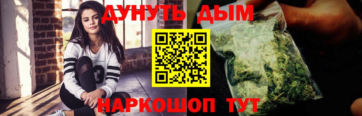 Бошки Шишки сатива Сунжа